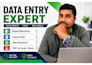 be your expert data entry and copy paste assistant
