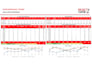 create professional excel dashboard, mis report and project tracker