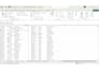 do excel data cleaning, formatting, and data processing with sorting