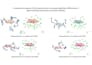 help you in protein peptide, dna docking and md simulation
