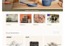 build shopify dropshipping store, shopify ecommerce website as shopify expert