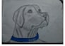 make digital potrait sketch drawing
