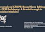 design professional canva presentations and documents