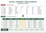 format, clean and organize excel spreadsheets professionally