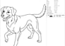 convert logo to embroidery digitizing for clothing