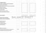 prepare income statement, balance sheet and bookkeeping services
