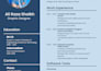 write ats friendly CV and resume for any industry