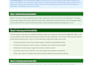 record an actionable SEO video audit of your website