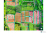 do image polygon and bounding box annotation