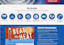 build a professional website that generates leads and customers