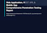 do web security testing for startups agencies and online businesses