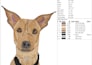 convert pet photos into stunning embroidery digitized files