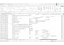 clean, format, and organize excel spreadsheets