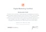 do on page and technical SEO, website audit, gsc indexing