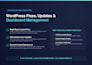 fix website issues, bugs and update your site professionally