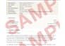 draft your federal proposal tailored to the contract with capability statement