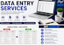 do accurate data entry and copy paste task
