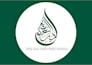 do professional arabic calligraphy and arabic logo design