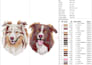 do professional photo embroidery digitizing , dst, pes, etc