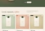build or customize your shopify website