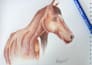draw with colored pencils or watercolor
