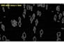 do machine learning, deep learning, computer vision projects