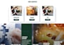 build a professional website that generates leads and customers