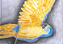 draw with colored pencils or watercolor