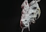 custom 3d sculpting,  clean, detailed and print ready models,