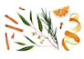 create hand painted watercolor clipart
