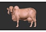 create custom 3d jewelry models and z brush sculpts
