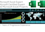 be your microsoft excel expert to solve excel assignments projects and problems