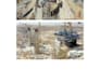 expert in cost management in construction