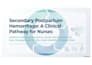create urgent nursing study materials, simulations, and presentation
