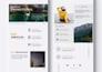 fix wix mobile responsive issues and wix website layout fix