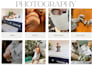 create baby newborn ugc ads for brands socials