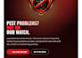 design and develop a modern responsive wordpress business website