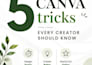 design professional instagram posts and carousel in canva