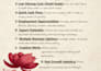 write professional study notes and summaries