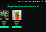 create a portfolio website for you