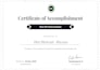 test your web application endpoints and deliver complete documentation