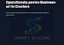 be your sales and operations consultant