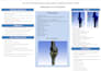 perform stress analysis and biomechanical behavior in ansys