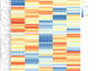 do rnaseq and transcriptomics data analysis