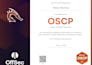 perform owasp web application penetration testing