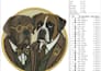 convert image to embroidery pattern