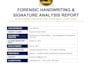 do forensic accounting, fraud investigation, computer forensic with report