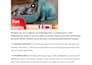 write seo shopify product descriptions to boost your shopify ranking