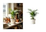 do professional background removal, image cutout ,