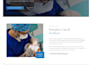 build and launch a website for dental clinic, dentist website